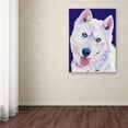 thumbnail image 4 of Trademark Fine Art "Whitey" Canvas Art by Pat Saunders-White, 4 of 4