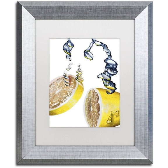 Trademark Fine Art "Lemon Splash II" Canvas Art by Roderick Stevens White Matte, Silver Frame