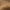 Lightest Golden Brown, variant on Revlon- Colorsilk Beautiful Color