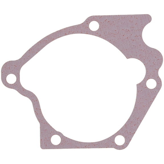 Mahle Water Pump Gasket