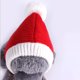 thumbnail image 4 of Sombrero para mascotas Accesorios para perros Sombreros cálidos para rojo Gloria Sombrero de invierno para perros, 4 of 9
