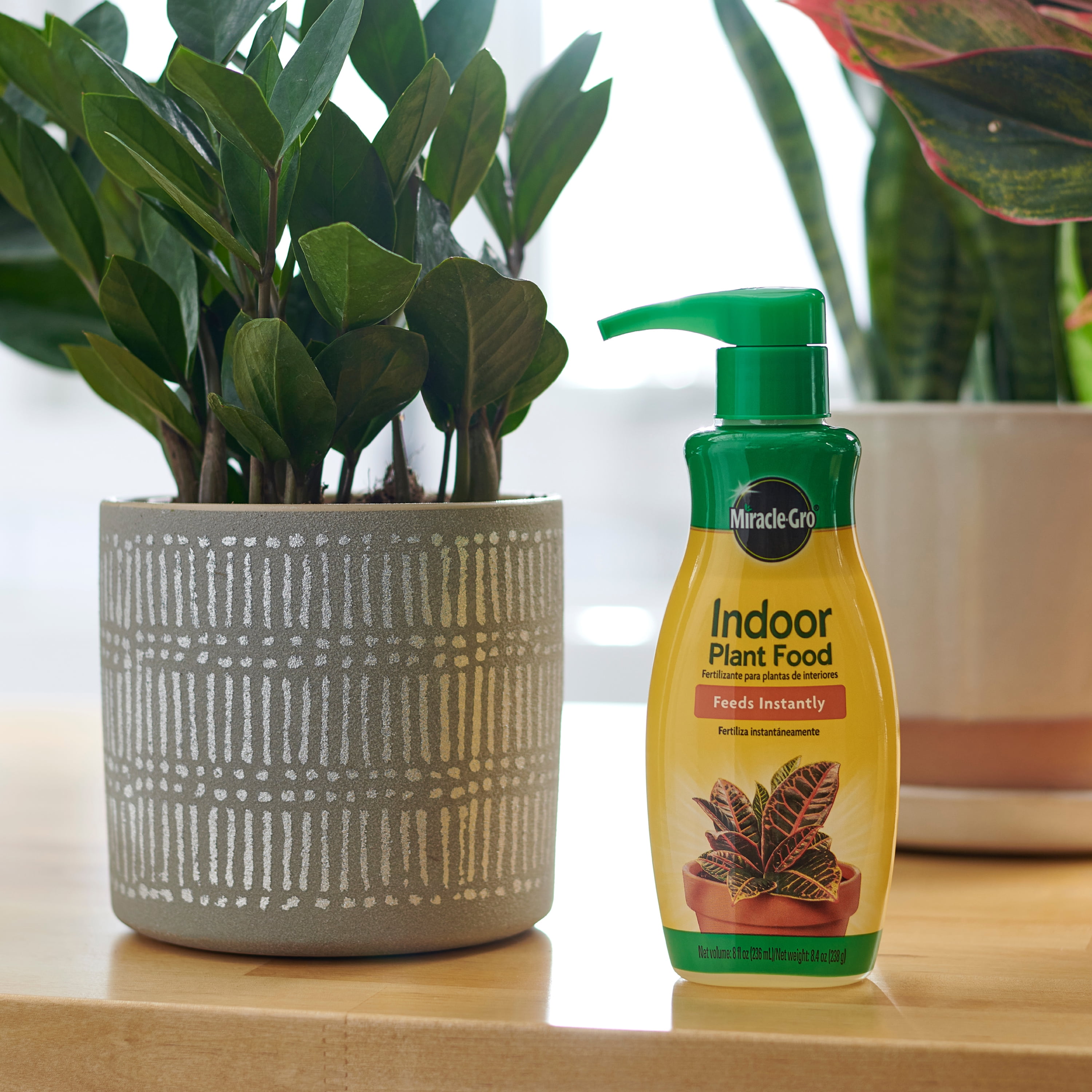 Miracle-Gro, Indoor Plant Food, 8 oz. 2-pack, Liquid Houseplants -  Walmart.com
