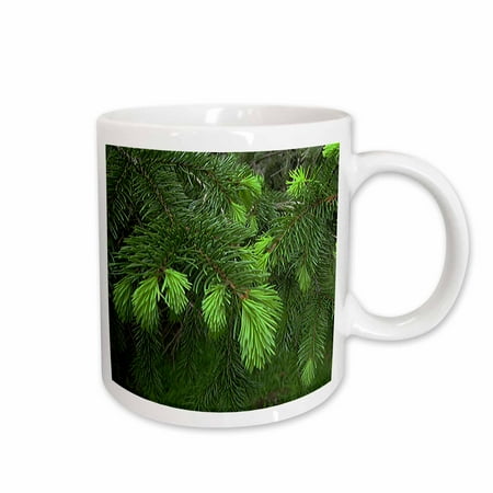 

3dRose Pine Tree Close Up Ceramic Mug 11-ounce