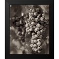 thumbnail image 2 of Blaustein, Alan 12x14 Black Modern Framed Museum Art Print Titled - Grapes - 24, 2 of 5
