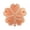 Clover, variant on Pure Copper Bird Bath Purification Disk, Sunflower Shaped Water Cleaner, Outdoor Bird Bath Basin Cleaning Disc, 3.9" (Rose Gold)