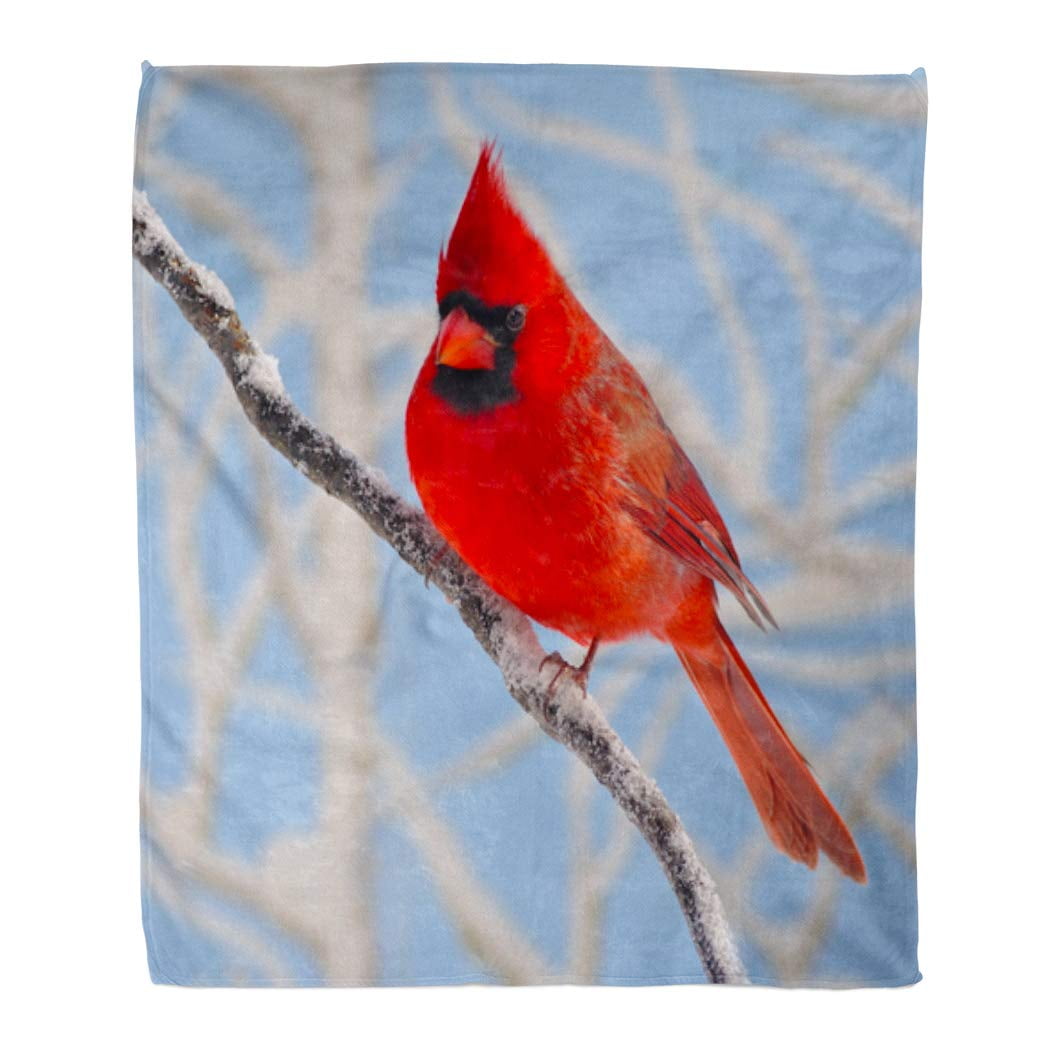 Red cardinal throw blanket hotsell