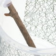 thumbnail image 4 of FUEENIRVA Reptile Terrarium Breeding Box with Stable Airflow for Spiders and Lizards, 4 of 5