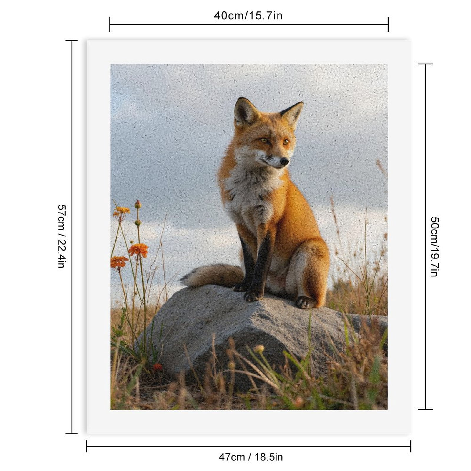 Paint by Numbers Kit for Adults, Fox On Rock In Grassland Paint by Numbers, Easy Paint by Numbers Kit for Adults Beginner, DIY Adult Paint by Number Kits on Canvas, 12x16in Home Decor