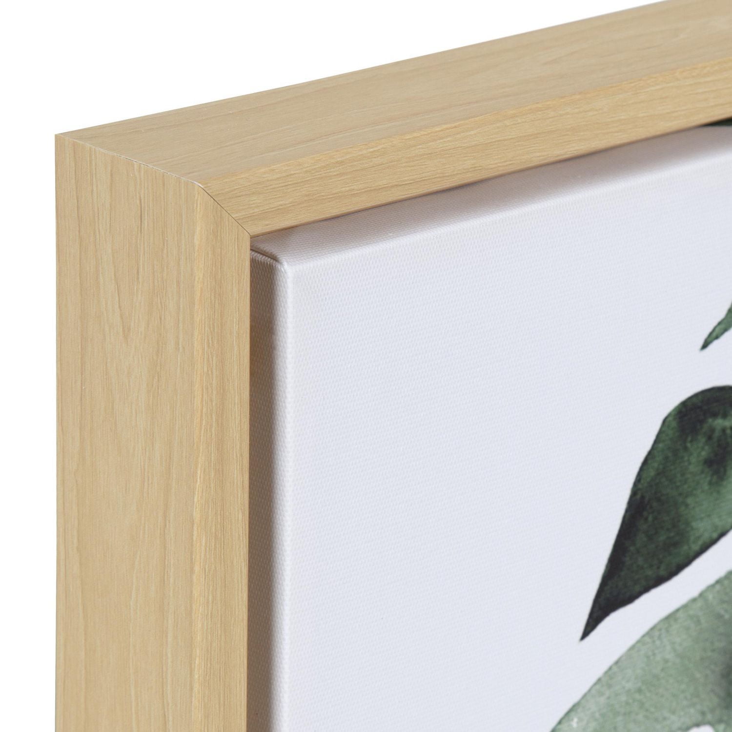 DesignOvation Sylvania Monstera Tropical Framed Canvas Art, 12" x 12"