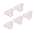 thumbnail image 3 of LEEYNEER 5Pcs Disposable Period Underwear Breathable Odorless  Women Underwear Use, 3 of 8