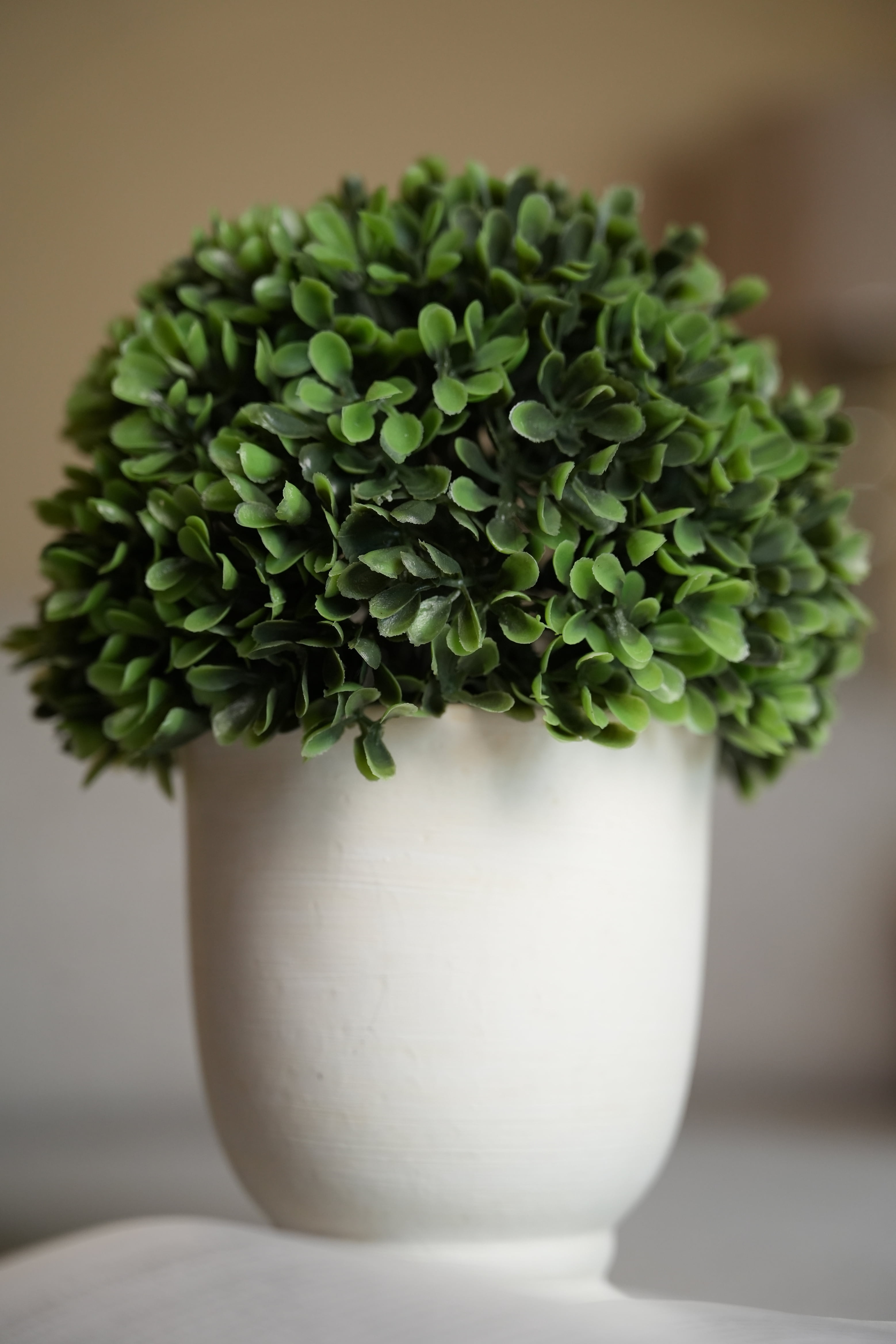 Better Homes & Gardens 9” Artificial Boxwood Tree in White Ceramic Pot for Tabletops- 1 lbs