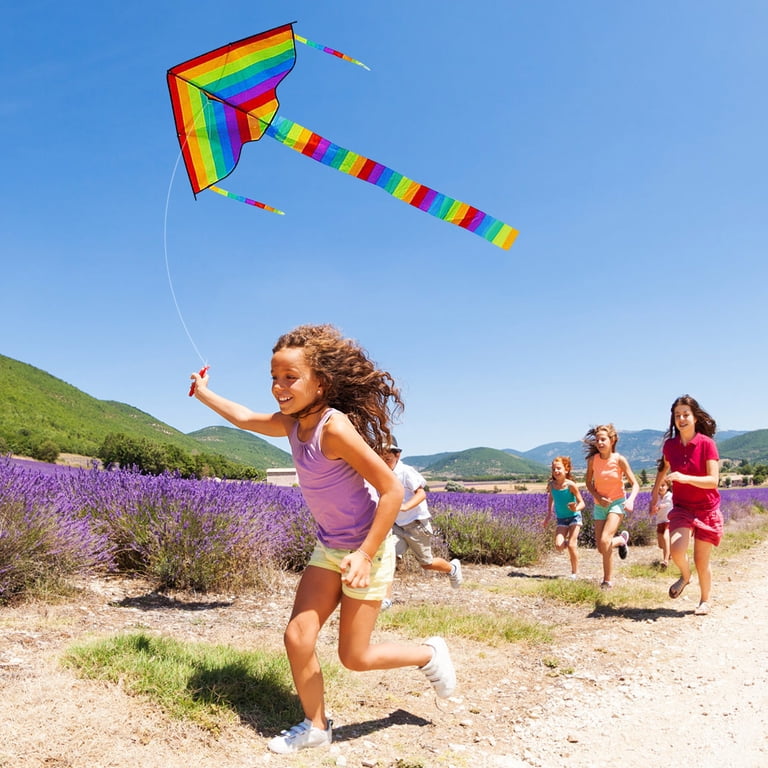 Flerigh Large Butterfly Kite For Kids & Adults - Easy To Fly & Assemble, Includes String & Handle