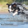 thumbnail image 5 of 1000m Electric Dog Training Collar Nv7, 5 of 5