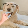 thumbnail image 4 of CRILSTYLEO 10Ud Cepillo De Para Y Perros Y Aliento, 4 of 6