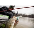 thumbnail image 4 of Berkley PowerBait Hollow Belly Fishing Soft Bait, 4 of 8