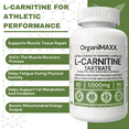 thumbnail image 4 of L Carnitine DOUBLE STRENGTH 1,000mg One A Day Capsules OrganiMAXX L-Carnitine Tartrate For Muscle Recovery Process., 4 of 7