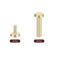 thumbnail image 3 of 25Pack Brass Chicago Screws, 15x6mm Post Nail Stud Rivets, Brass Tone, 3 of 6