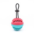 thumbnail image 1 of Dog Molar Toy Sucker Bite-Resistant Pet Toy Ball Tooth Cleaning Leaking Device, 1 of 7