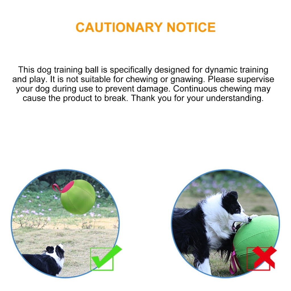 AOOOWER Dog Herding Ball for Shepherds, Corgis, Collies Interactive Bouncy Toy