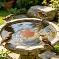 thumbnail image 1 of Bird Bath Plate Decorative Purification Plate with Support Points Natural All Weather Water Suitable for Outdoor Bird Bath Tubs and Bowls Multiple Choices, 1 of 4
