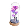 thumbnail image 2 of Rosa iluminada en cúpula de cristal, regalo de flor de rosa, adorno de escritorio, decoración del hogar, lámpara de noche de aniversario, decoración, 2 of 8