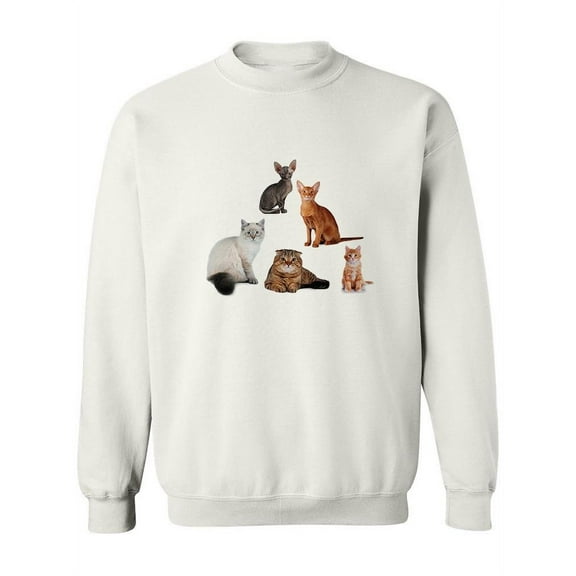 Group Of Cats Looking At Camera Sweatshirt Women -Image by Shutterstock, Female 3X-Large