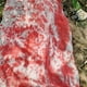 thumbnail image 4 of Creepy Dead Victims Garden Fake Corpse Props Decoración de Halloween (A NO Pump) JShteea Libre de BPA, 4 of 9