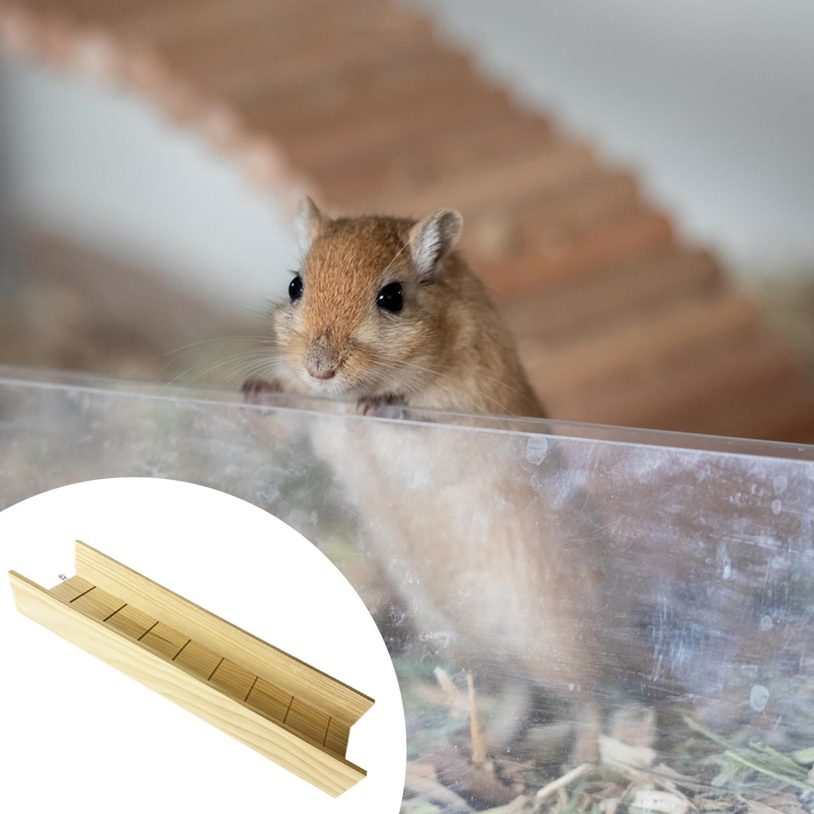 EHJRE Hamster Wooden Ladder Climbing Bridge Bridge Accessory Wooden Chew Stick Creative Climbing Toy Cage Decoration for Hamsters, Gerbils, Degus, And Ferre 12.5cmx70cm