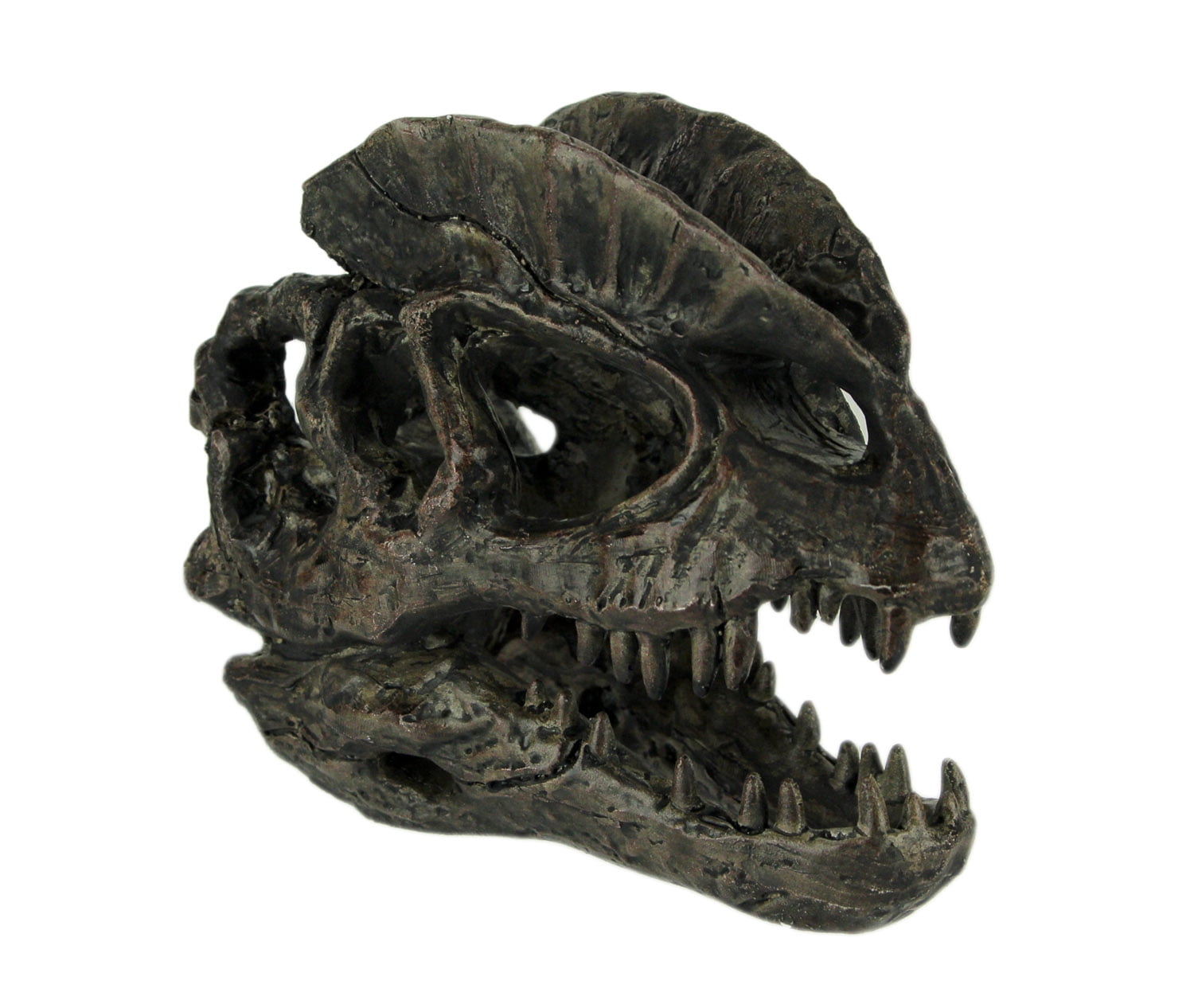 dilophosaurus fossil