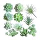 thumbnail image 1 of Bewildely Suculentas falsas, accesorios para fotos, plantas decorativas simuladas, bonsái, decoraciones para el hogar, patios, césped, maceta, SET0836 Flores artificiales SET0824 Bewildely HA060204-02B, 1 of 6