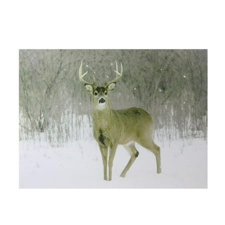 Fiber Optic Framed - Fiber Optic Lighted Majestic Buck Canvas Wall Art