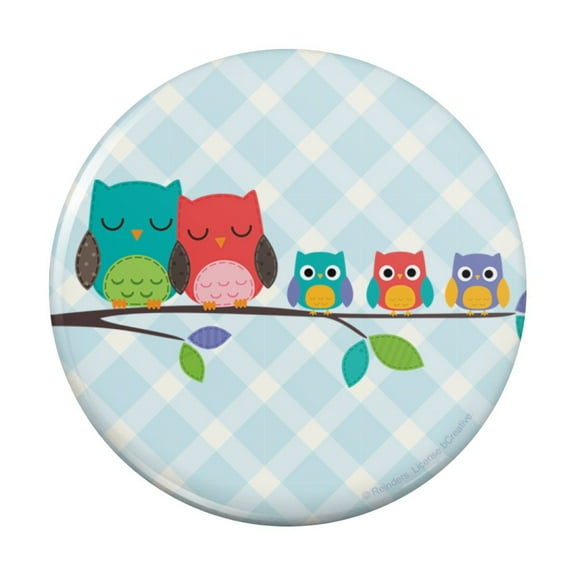 Cute Colorful Owl Family Pinback Button Pin