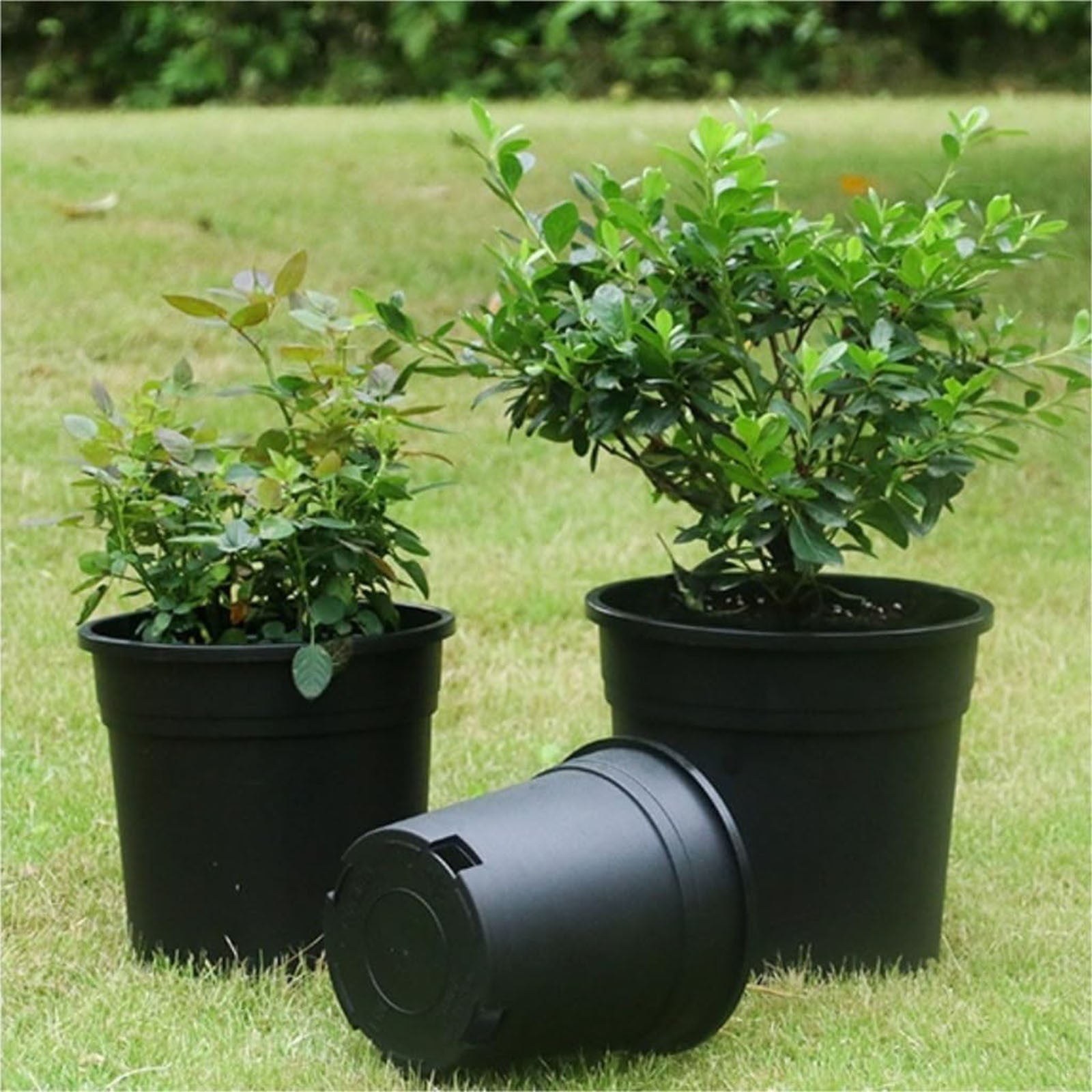 LYINGF Plant Pots Plastic Flower Pots Green Plant Potted Plants Balcony Flower Pots Gardening Plastic Planters - Ideal for Stocking Stuffers or Home Christmas Decorations - Black