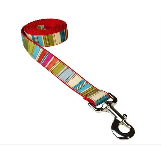 Sassy Dog Wear Red Stripe --MULTI3-L 6 Pi. Multi Stripe Laisse pour Chien- Red - Moyen