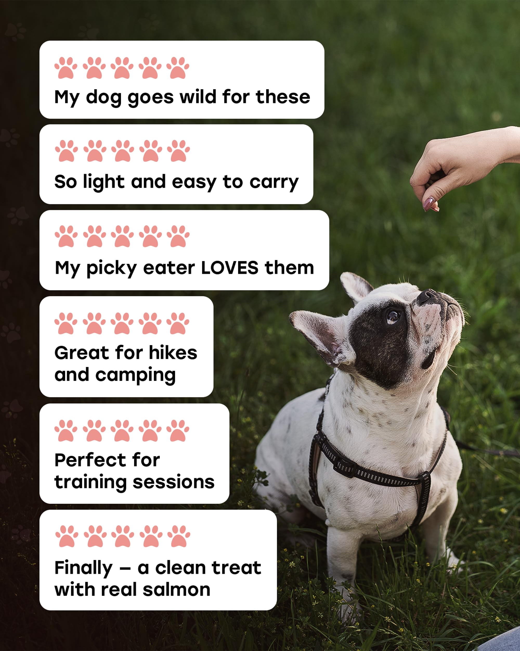 Pup Choice Freeze-Dried Salmon Dog Treats – Single Protein, Grain-Free Training Treats with Sweet Potato, High-Protein Meal Topper, Natural Salmon, 5.5 oz (300 Count)