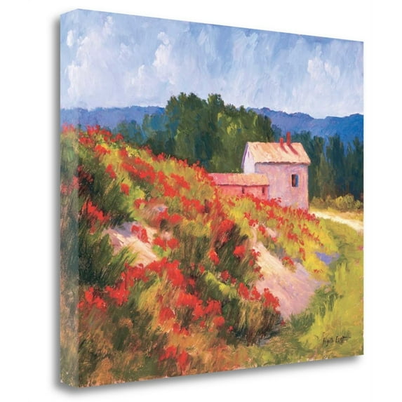 32" x 28" Late Spring Poppies by Brigitte Curt Print on CanvasFabric Multi-Color