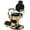 Gold, variant on Vintage Barber Chair All Purpose Heavy Duty, Hydraulic Recline Salon Beauty Styling Chair Retro, 360 Degree Swivel for Hair Stylist Tattoo, Round Base, Tufted Button