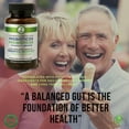 thumbnail image 2 of Prebiotic & Probiotic Supplement – 60 Tablets – Gut Health & Digestive Enzymes – Lactobacillus, Bifidobacterium, Agave Inulin, Papaya, Ginger & Vitamin C – 30-Day Supply - Probioticos, 2 of 7