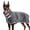Gray, variant on MASBRILL Dog Drying Towel for Small to Large Dogs, Absorbent Pet Bathrobe Coat with Adjustable Strap, Quick Dry Dog Towel for After Bath & Swim & Cold Weather