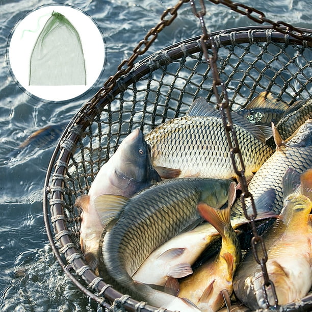 3Pcs Fish Net Mesh Bags Catch Fish Mesh Bag Outdoor Fishing Tools (Random  Color) 