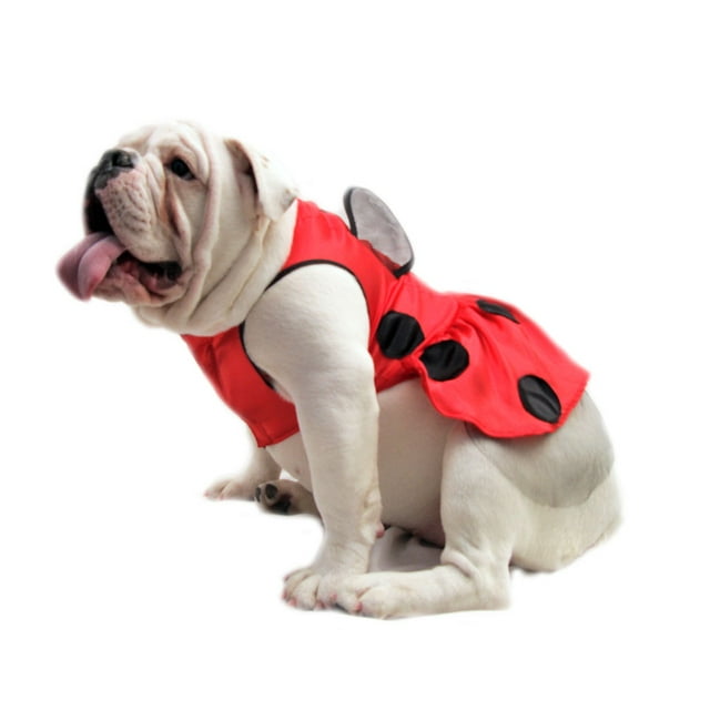 Disfraz Catarina Perro Halloween Talla 00 Mascota Pet Pals