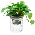 thumbnail image 4 of Macetas de Riego Automático Contenedor de Agua Adorno con Orificio de Drenaje Decorativo 2 Capas para Jardín Escritorio Oficina Ventana estiloD Gloria Macetas de autorriego, 4 of 9