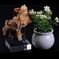 thumbnail image 4 of Soporte de exhibición de acrílico Sunnimix Claro Mineral Fósil L, 4 of 8