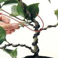 thumbnail image 4 of NANDIYNZHI Bonsai Wire With Cutter Tree Training Wires 5m Total .5mm Anodized Aluminum Wire For Indoor Bonzai Trees, 4 of 8