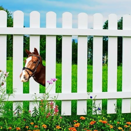 

Hot Sale Animal Home Decor Exquisite Metal Wall Decoration For Indoor/Outdoor Garden Ornament