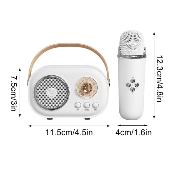 Qholemyo Mini Portable Bluetooth Speaker Karaoke Machine With Microphone For Kids And Adults