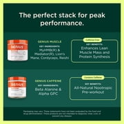 The Genius Brand Protein Powder - Chocolate + Adaptogenic Mushroom Blend - Plant-Based Protein with Turkey Tail for Gut Health - Daily Muscle Recovery & Immune Support - 20 Servings