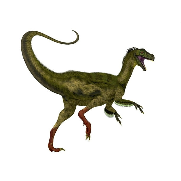 Ornitholestes was a small carnivorous dinosaur that lived in the ...