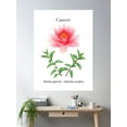 thumbnail image 2 of Botanical Zodiac: Cancer Poster Wall Art, Modern Wall Decor For Living Room Bedroom, 16x24 UNFRAMED, 2 of 3
