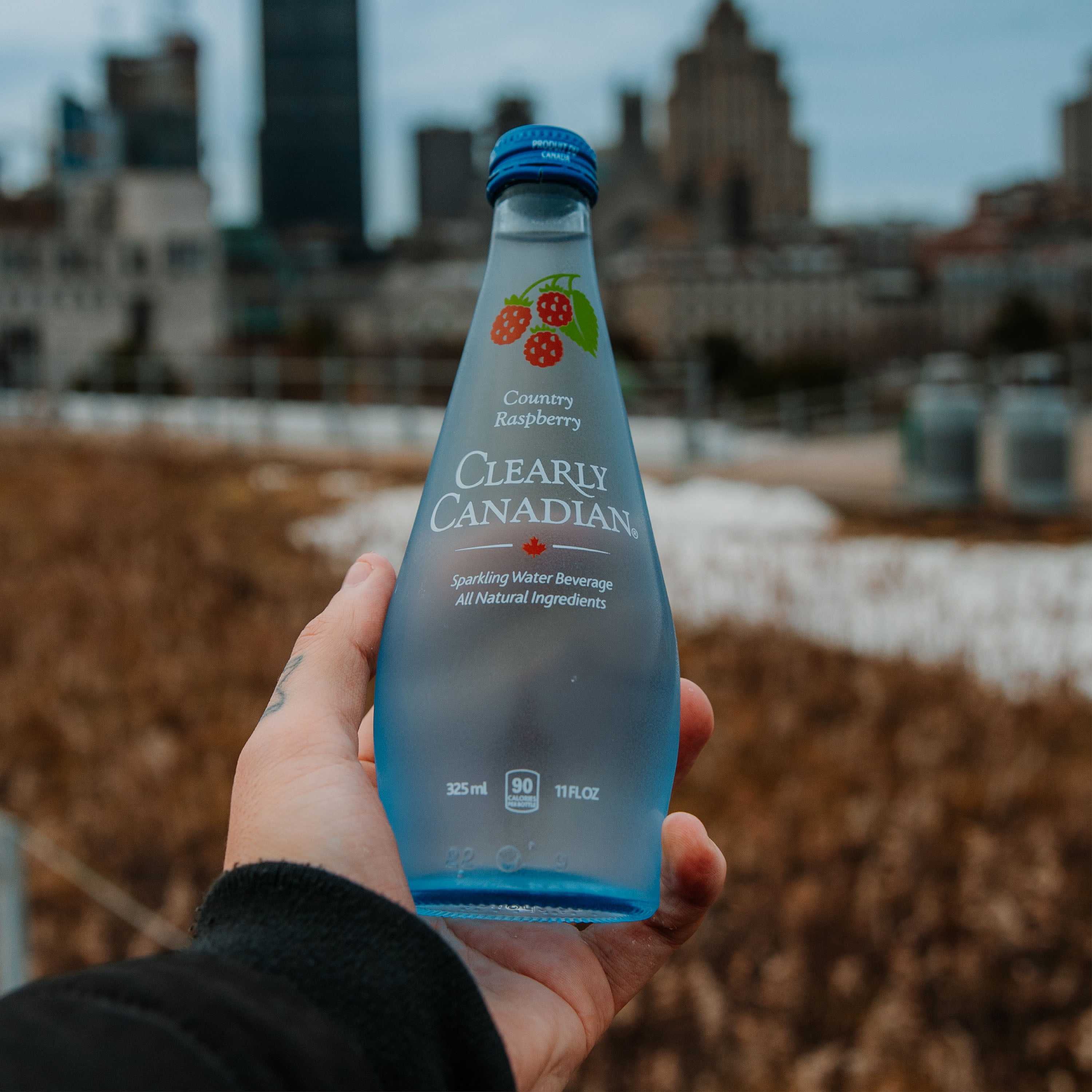 (3 pack) Clearly Canadian, Sparkling Water, Country Raspberry, 11 oz